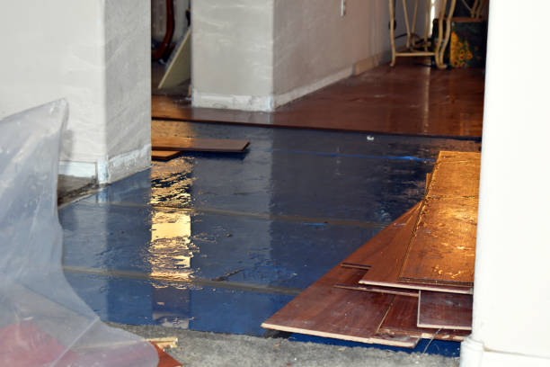 Professional Emergency Water Damage Restoration technician working in Leander, TX
