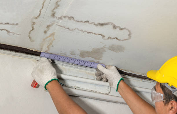Reliable Emergency Water Damage Restoration contractor in Leander, TX by Water Damage Irwin